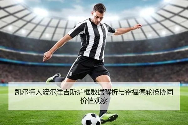 凯尔特人波尔津吉斯护框数据解析与霍福德轮换协同价值观察